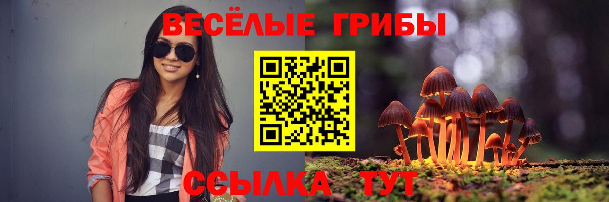 где купить наркоту  Галлюциногенные грибы прущие грибы  Вход с VPN  Псилоцибиновые грибы Magic Shrooms  Сосновоборск 
